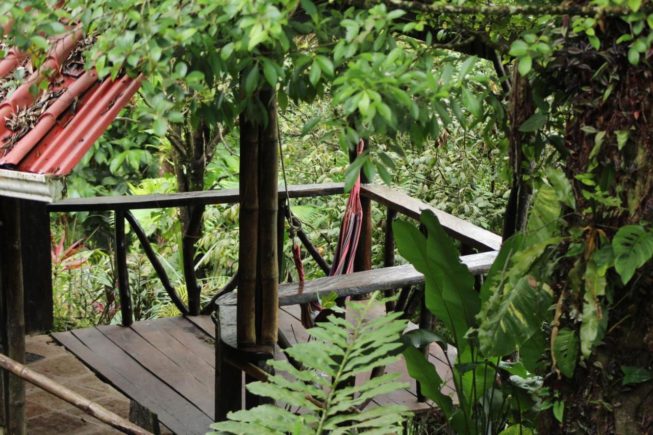 Princesa De La Luna Ecolodge La Fortuna Extérieur photo