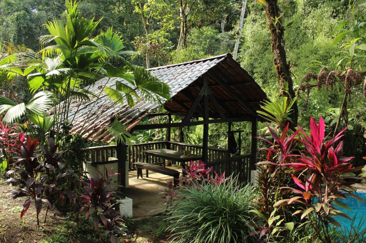 Princesa De La Luna Ecolodge La Fortuna Extérieur photo