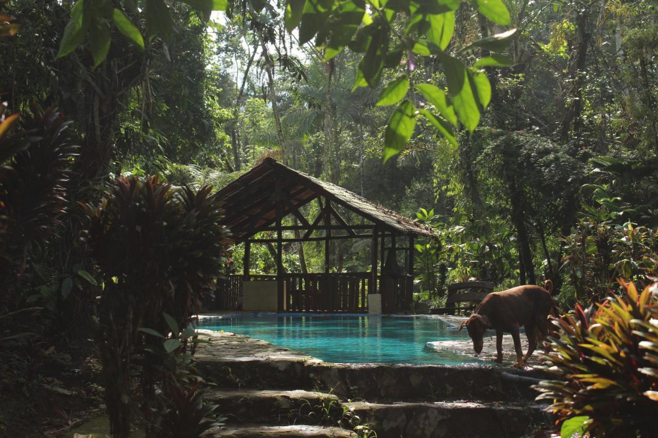 Princesa De La Luna Ecolodge La Fortuna Extérieur photo