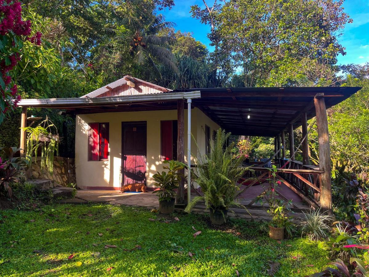 Princesa De La Luna Ecolodge La Fortuna Extérieur photo
