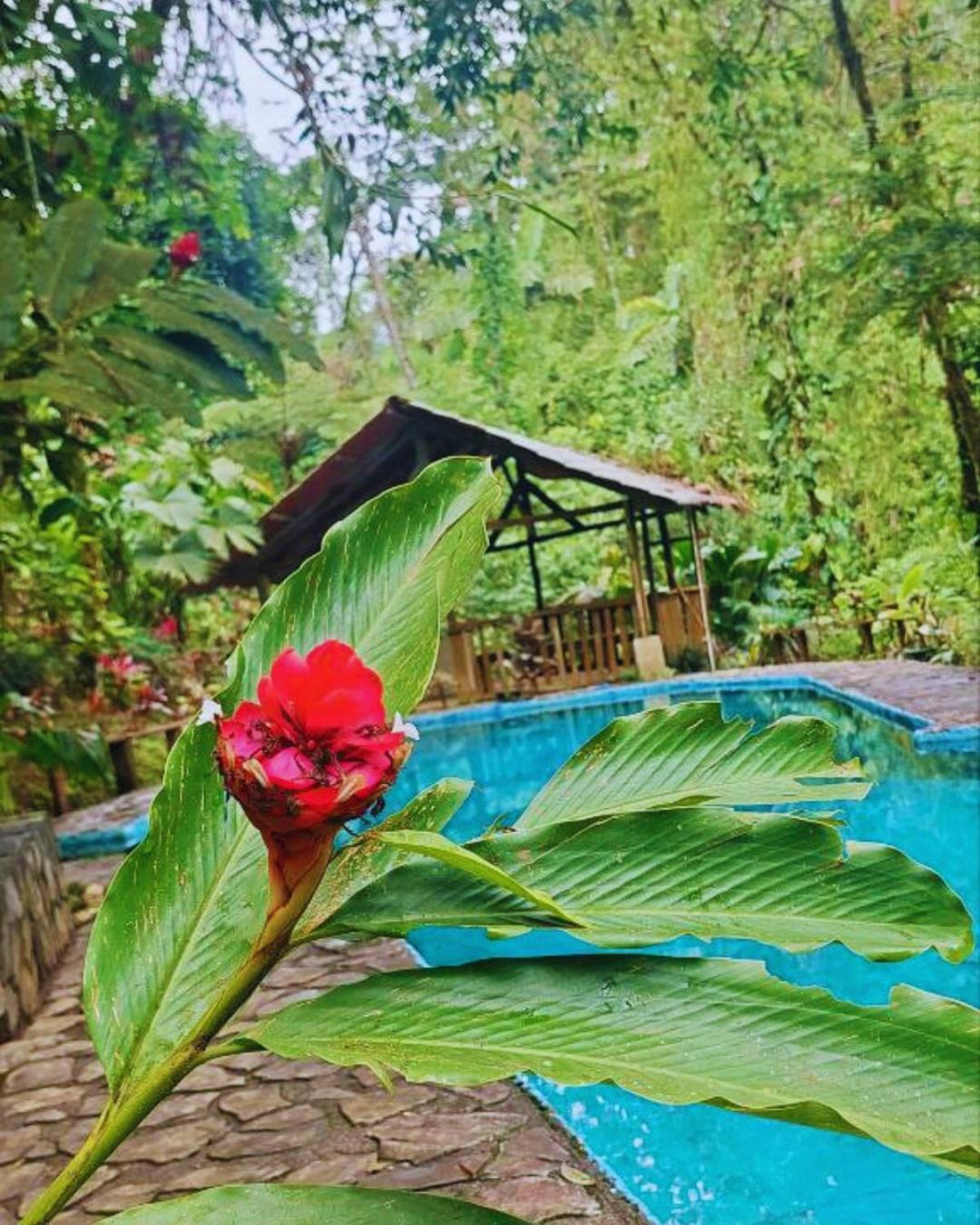 Princesa De La Luna Ecolodge La Fortuna Extérieur photo