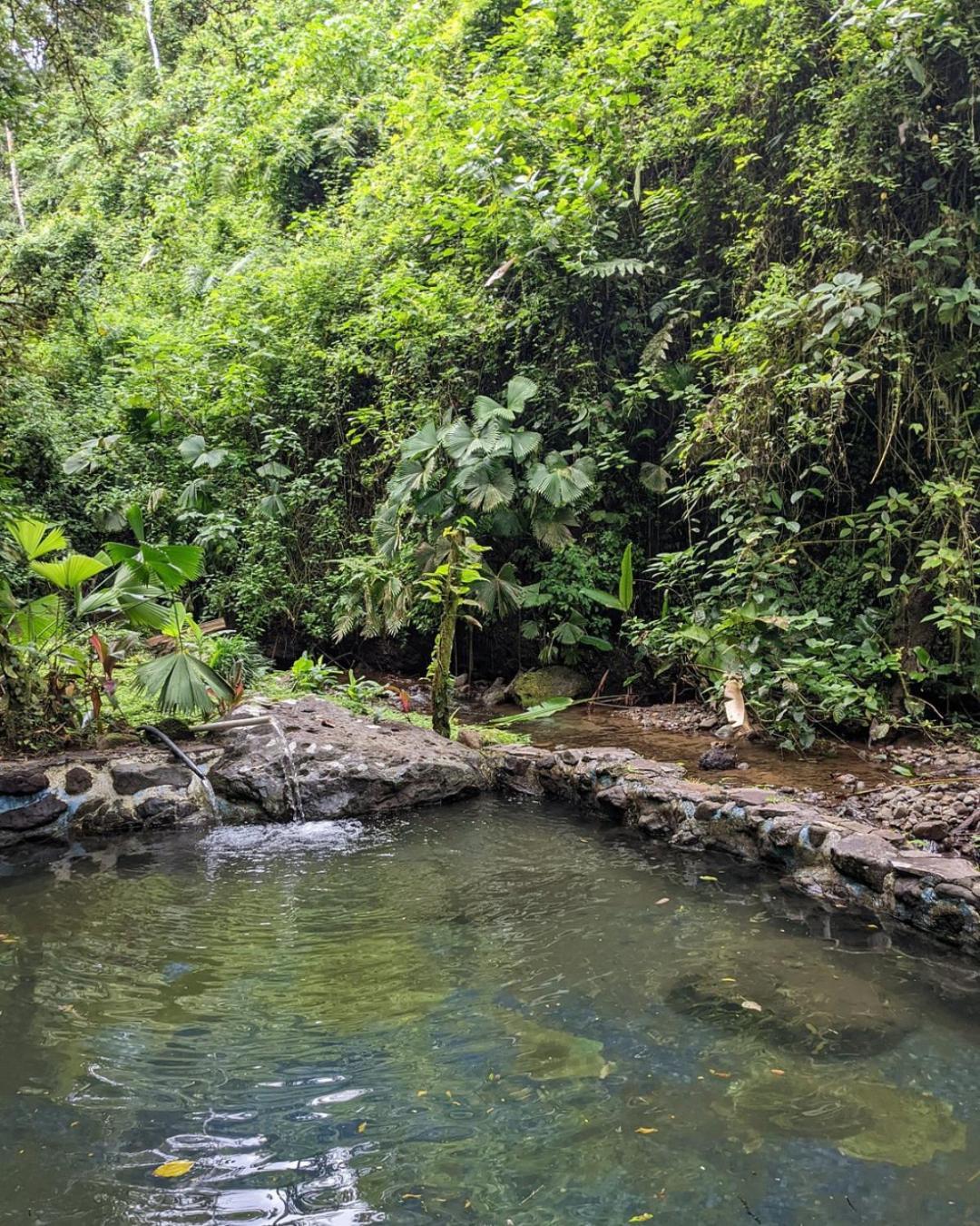 Princesa De La Luna Ecolodge La Fortuna Extérieur photo