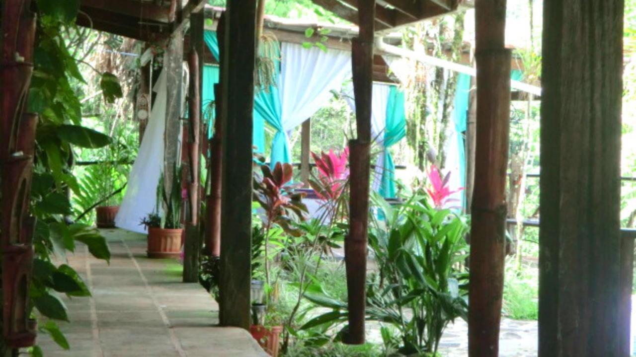 Princesa De La Luna Ecolodge La Fortuna Extérieur photo